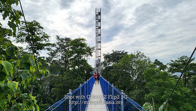 Tour d'observation Forêt Skywalk