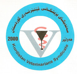 KURDISTAN VETS SYNDICATE