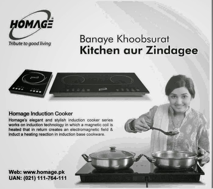 Homage Elegant Stylish Induction Cooker Price in Pakistan 2015 Recent