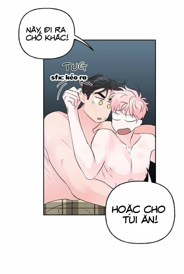 Đọc truyện Assorted Wildness - Chapter 40