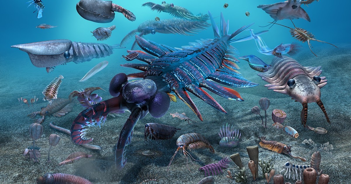 Marchan Blog カンブリア紀 Cambrian period