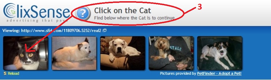 авада темы. Find below. скотт грин criminal case. Find below. Csgo private.