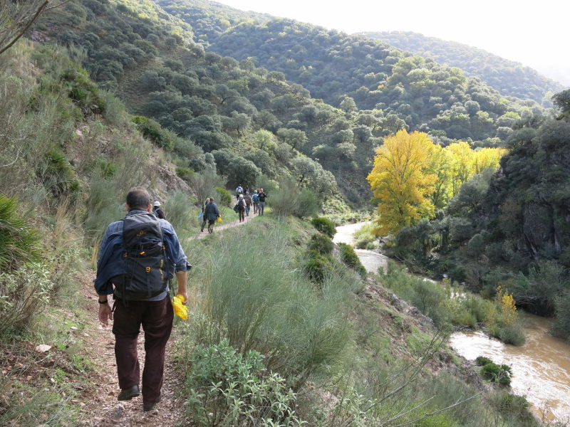 Sendero junto al río en la Serranía de Ronda