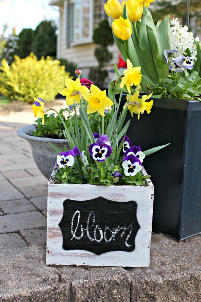 Daffodils and pansies in chalkboard planter from Home Depot - www.goldenboysandme.com
