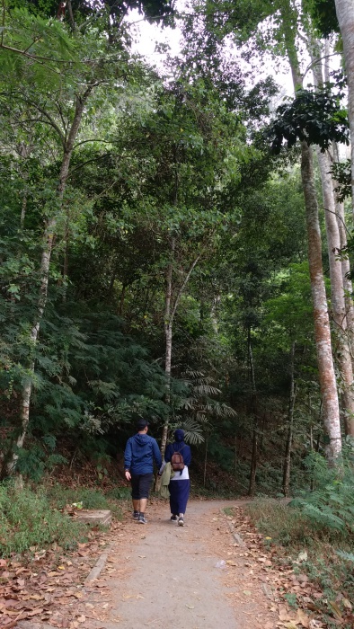 Curug Omas Maribaya, Taman Hutan Raya Ir H Djuanda, Bandung