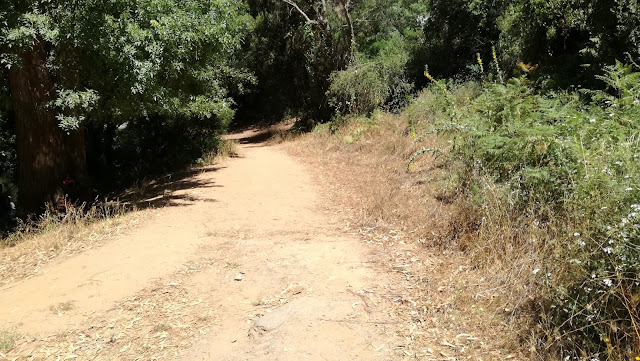 Percurso da N120 até ao Pego das Pias Percurso da N120 até ao Pego das Pias