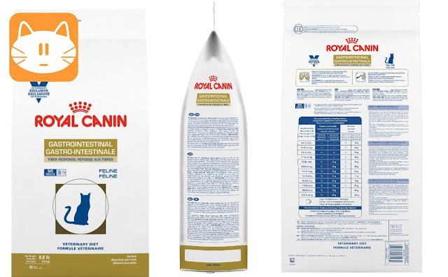 Royal Canin Digestive Health Cat Food Royal canin gastrointestinal cat food | Life Of Kitten