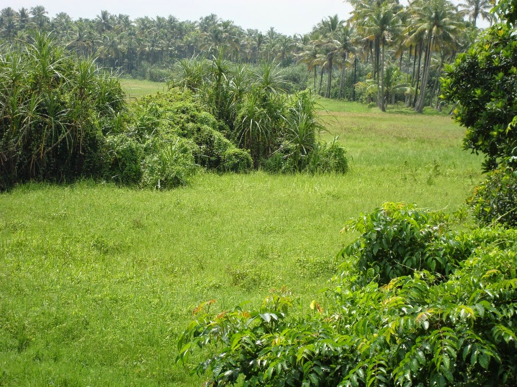 Kerala Tourism Oxbow Lake in Kerala a must visit Eco system in the