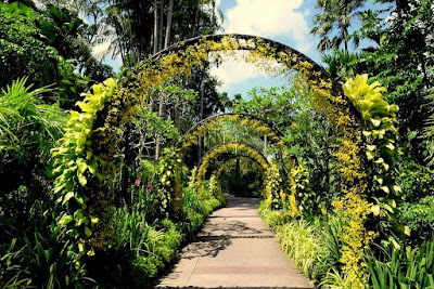 Singapore-Botanic-Gardens.jpg