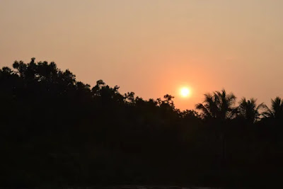 A beautiful afternoon in the Karamjol of the Sundarbans A beautiful afternoon in the Karamjol of the Sundarbans