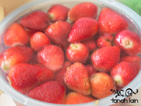 Cómo Hacer Helado de Fresa