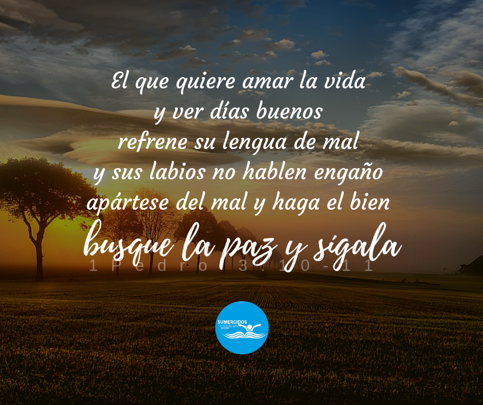 Busca la Paz y Siguela