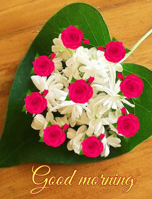 Good Morning Images For Whatsapp Good Morning Images For Whatsapp