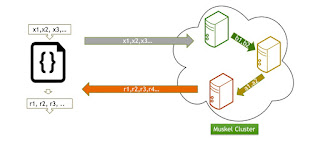 AboutHydrology: Parallel Computing with Muskel 2