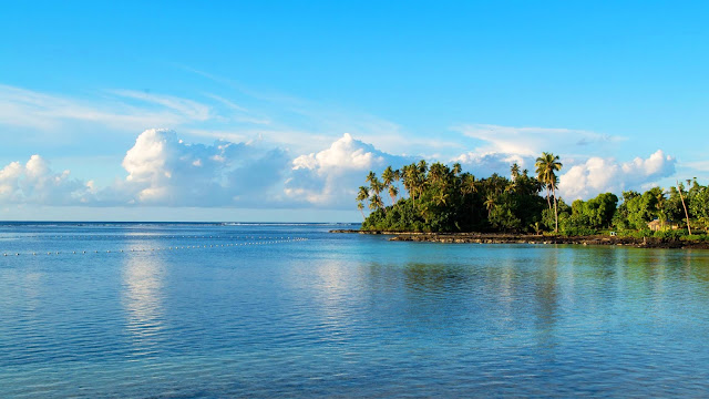 Island, palm trees, sea wallpaper