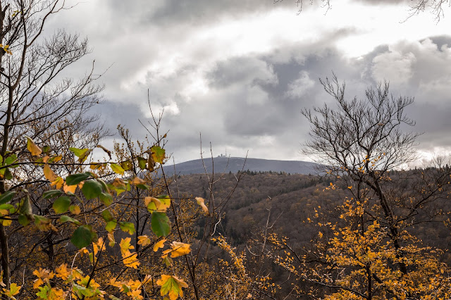 Besinnungsweg Bad Harzburg  Genusswandern im Harz  Wanderung-Harz 10