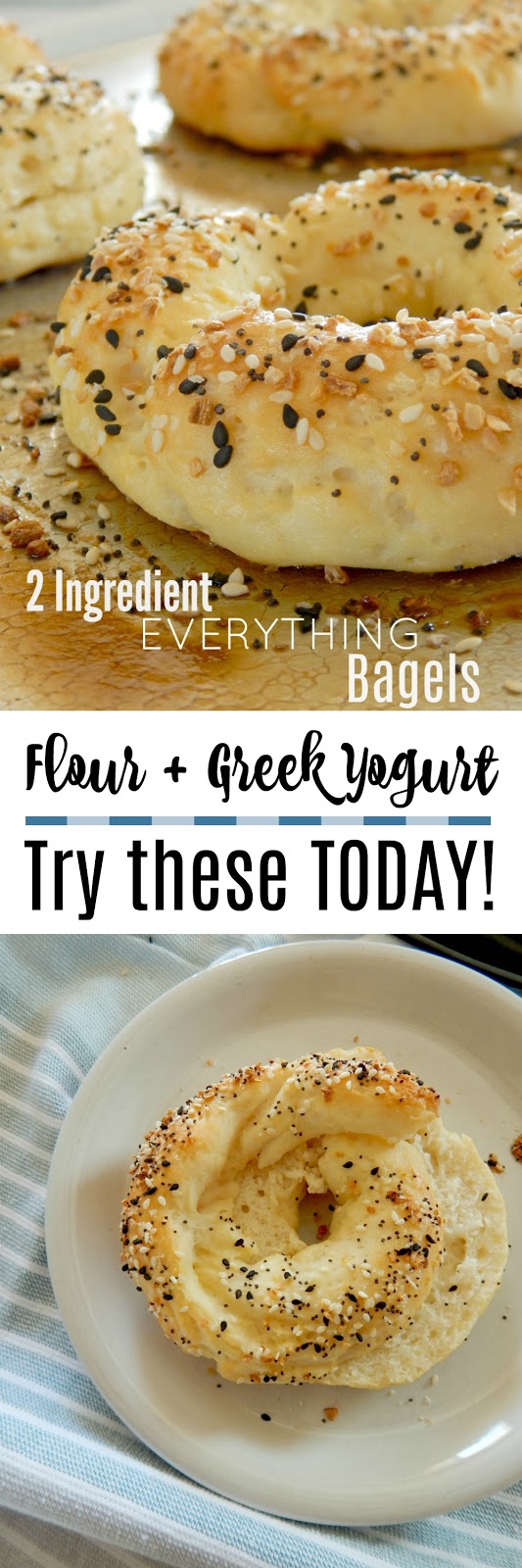 2 Ingredient Everything Bagels Ally's Sweet & Savory Eats
