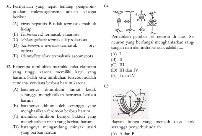 Soal Sbmptn Saintek 2019