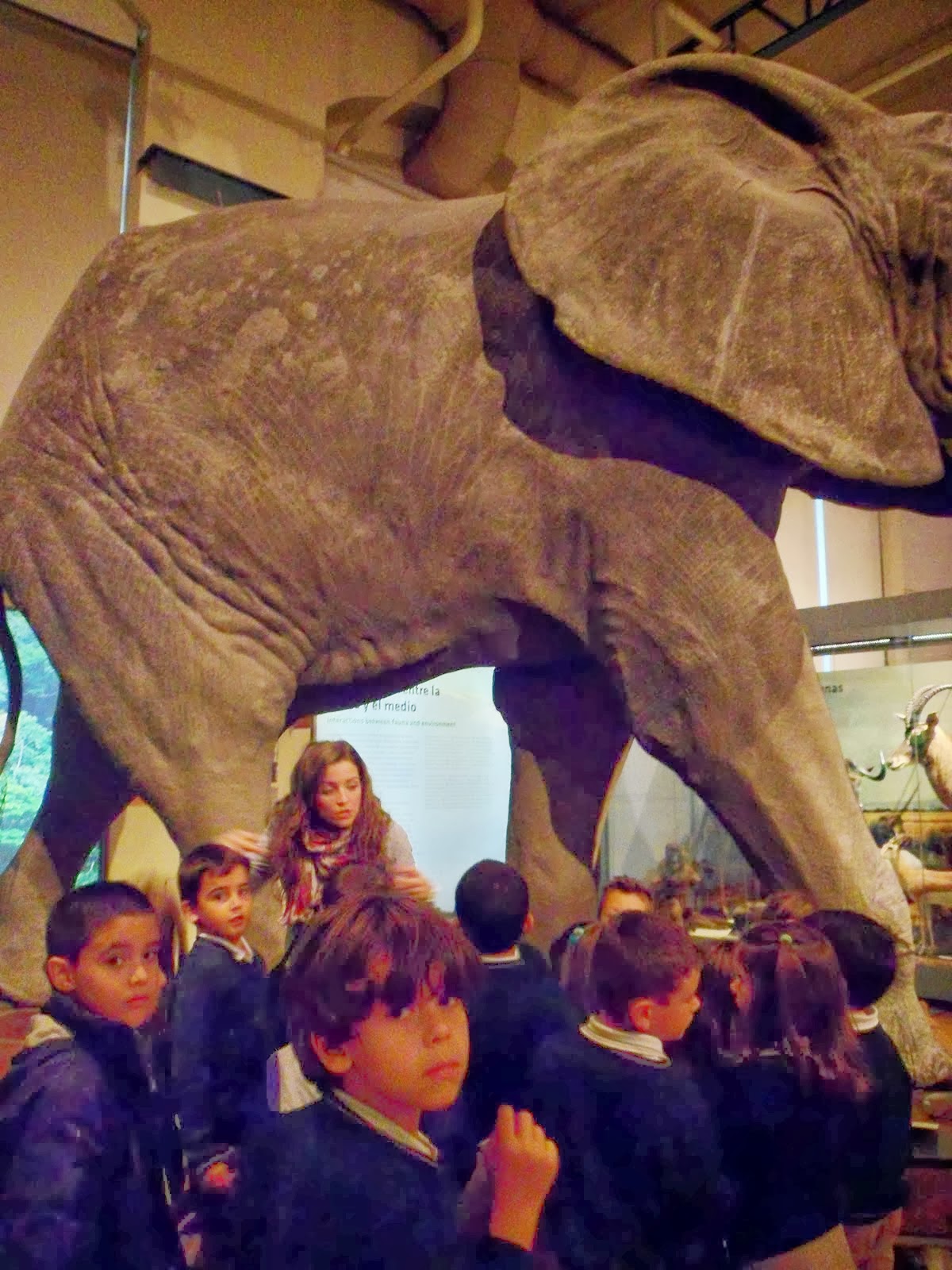 https://picasaweb.google.com/108366366089423600659/131402ExcursionAlMuseoDeCienciasNaturales1Ciclo?authuser=0&authkey=Gv1sRgCPbGiqDE7urU1gE&feat=directlink