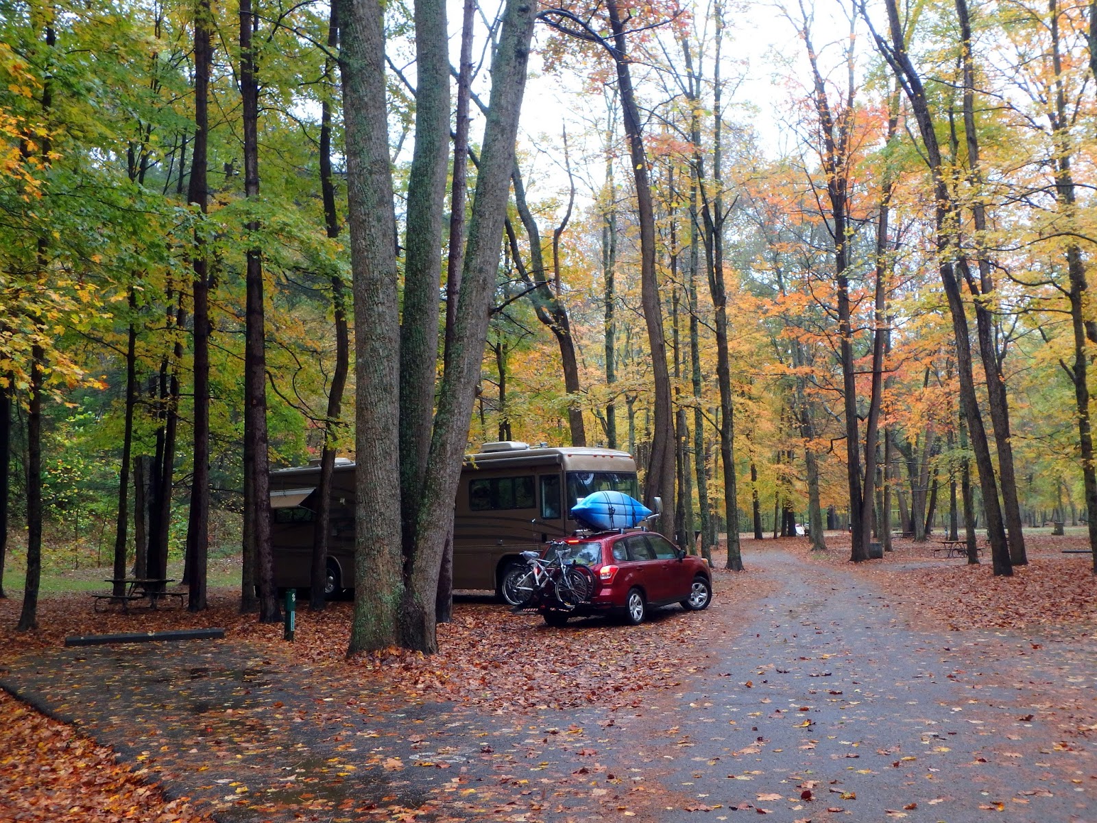 PAMPERED PENGUIN October 2326, 2017 Pike Lake to Forked Run State Park, Ohio