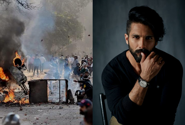Bollywood Stars Reaction Delhi Protest and Shahid Kapoor Birthday, Read Big 5 Entertainment News Bollywood Stars Reaction Delhi Protest and Shahid Kapoor Birthday, Read Big 5 Entertainment News
