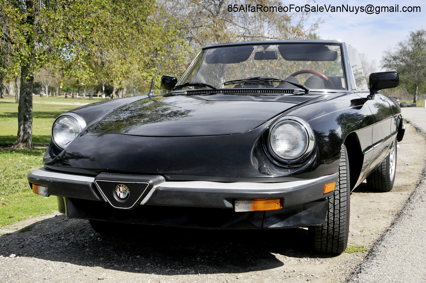 Vw Van Nuys >> 1985 Alfa Romeo Spider Veloce Convertible For Sale Vw Van Nuys >> 1985 Alfa Romeo Spider Veloce Convertible For Sale