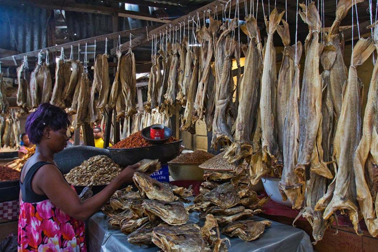 Nigerian News, Latest Nigeria In News. Nigeria News. Your online Nigerian  Newspaper.: Norway begs Nigeria to remove stockfish from forex ban list