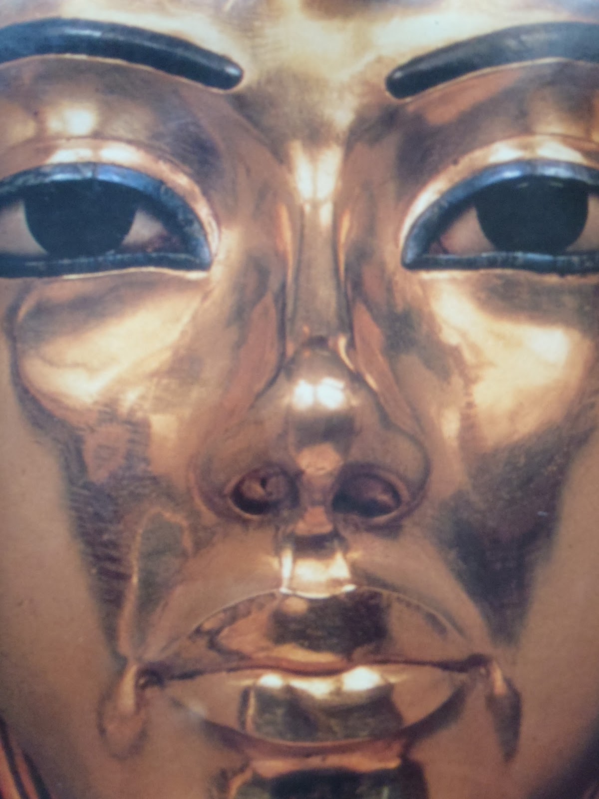 The Complete Tutankhamun By Nicholas Reeves Pdf Creator