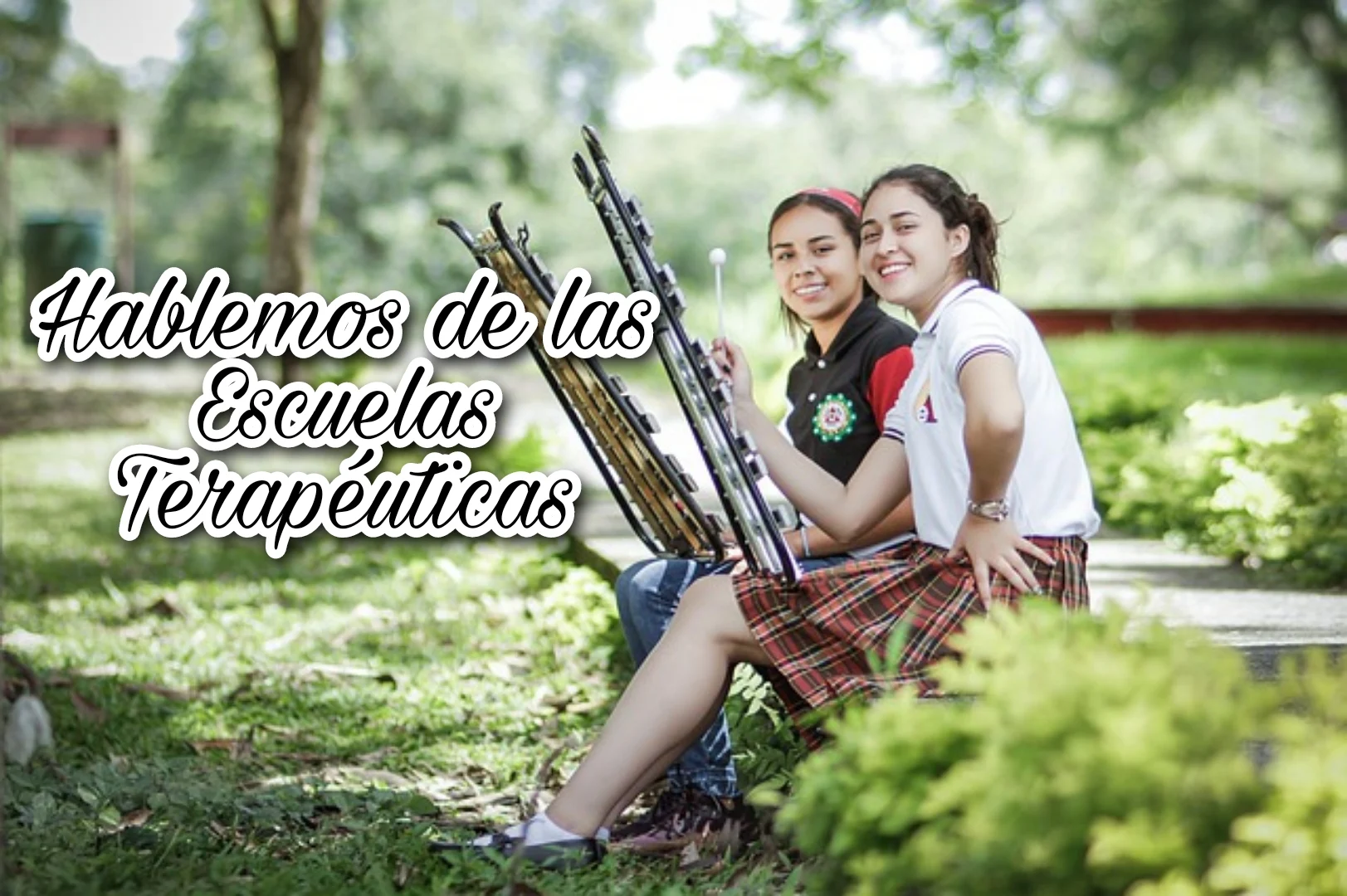 Las escuelas terapéuticas