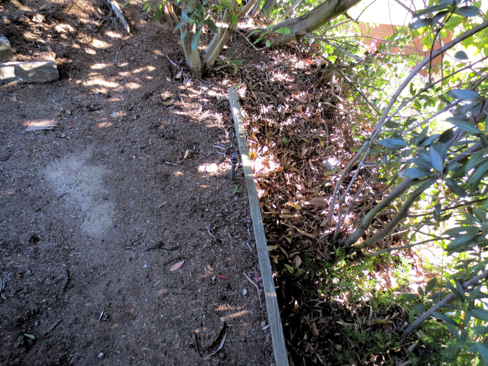 Late to the Garden Party: Boundary Lines