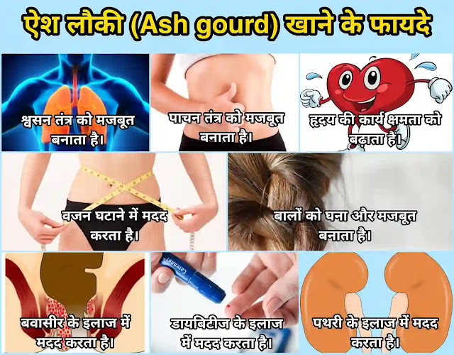 Ash gourd in hindi: फायदे, नुकसान, इत्यादि पेठा (Ash gourd) खाने के फायदे
