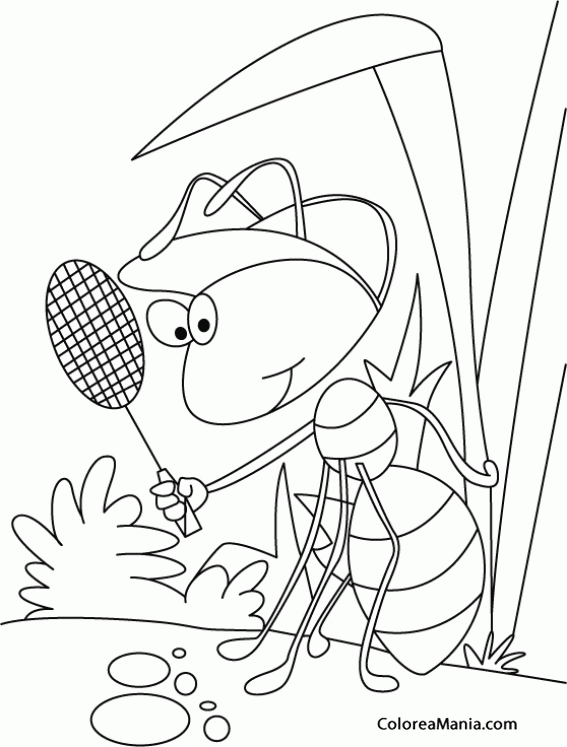 Ant Animal Coloring Pages For Kids ~ Best Coloring Pages ...