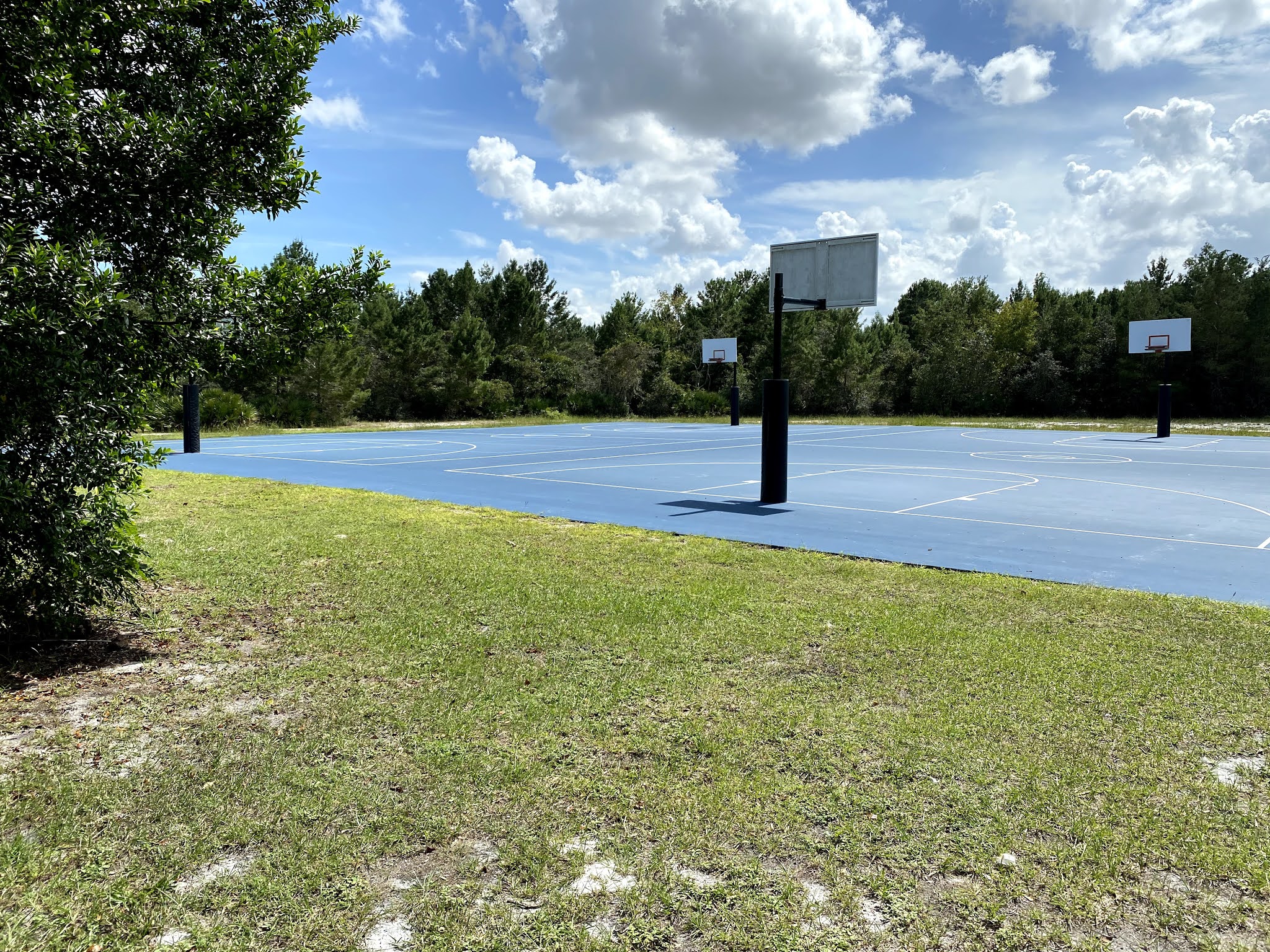 Shadow Bay Park Orlando Florida Travel Ideas