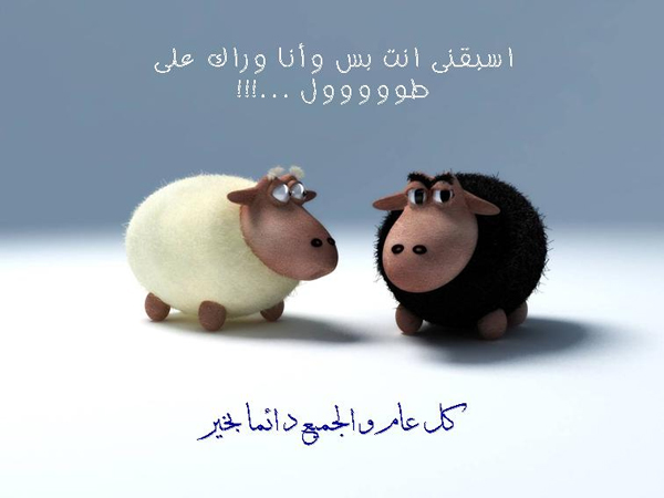 اجمل الصور لعيد الاضحى اجمل الصور لعيد الاضحى