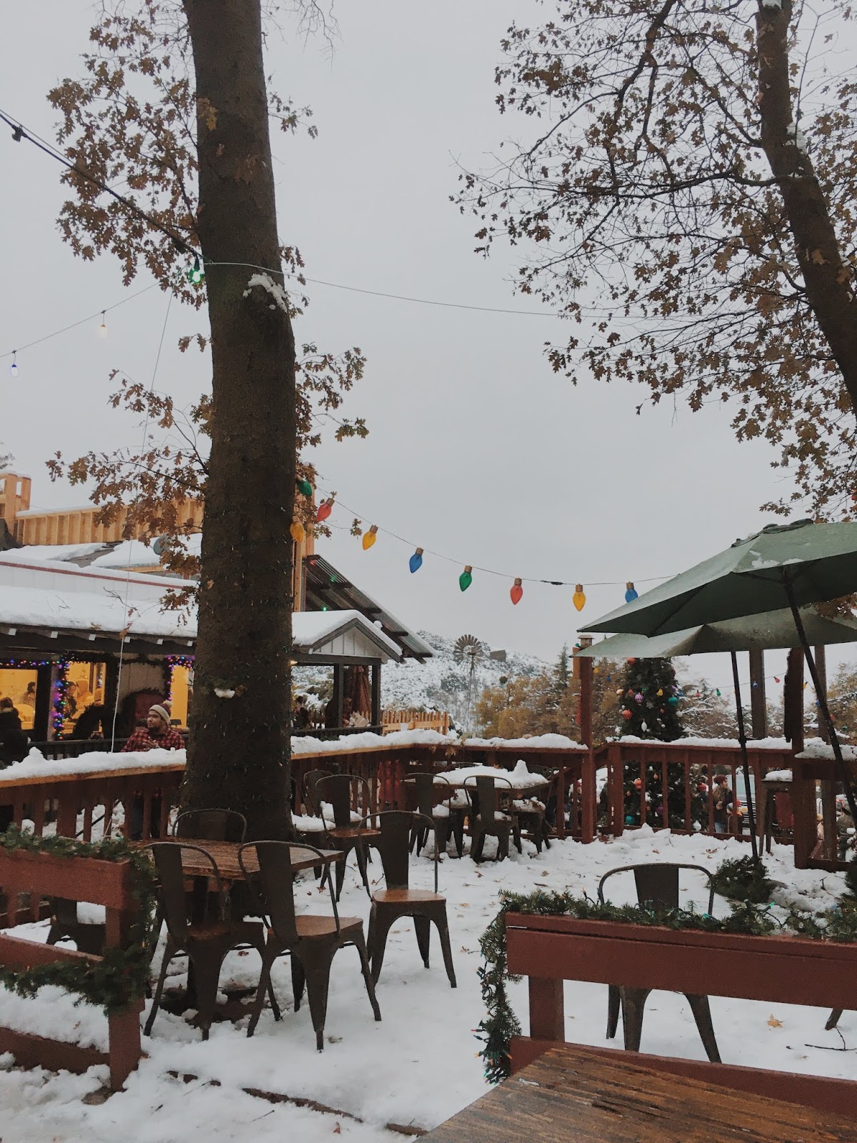 Snowy December StephC