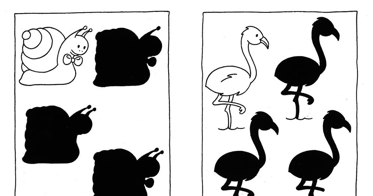 Найди чья тень в картинках 6 7 лет