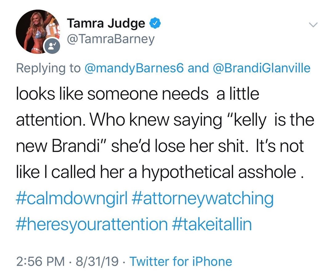 Brandi Glanville And Tamra Judge Feud On Twitter — Read Their Shady