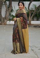 Vidya Balan Photos in Saree at Handloom Promotion TollywoodBlog