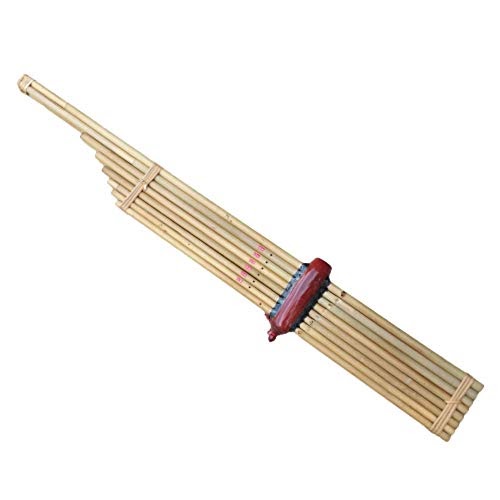 Laos national instrument