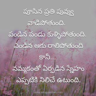 Quotes In Telugu