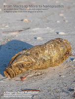 Image captured on Long Boat Key, Florida