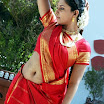 South Actress Malavika Hot Navel show in Red Saree