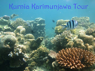 FOTO SURGA LAUT KARIMUNJAWA - PAKET TOUR KARIMUNJAWA ...