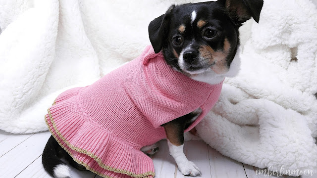 Bond & Co. Pink Dog Sweater Dress
