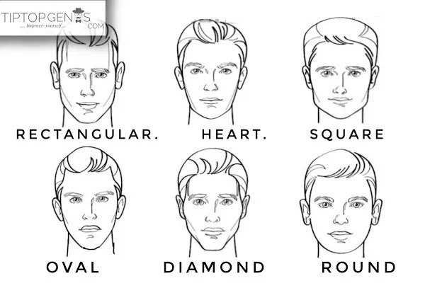 Vector image of different types of face shapes, men.