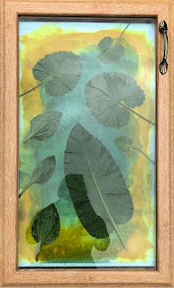 Wet cyanotype_Sue Reno_Image 822 Wet cyanotype_Sue Reno_Image 822