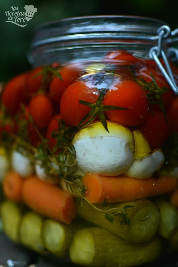 conserva-de-vegetales-04