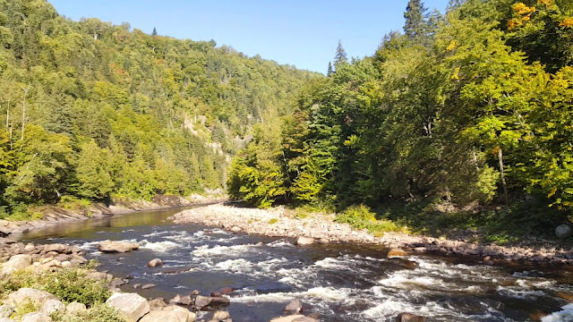 Vue sur la rivière Sainte-Anne à partir du sentier Mestashibo