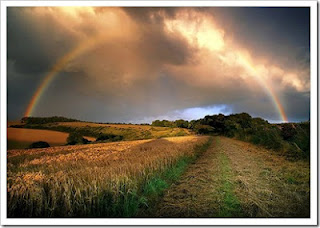 Joey, το θαύμα: το αγόρι που αρνήθηκε να πεθάνει