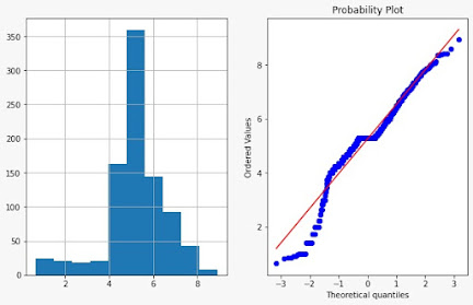 Exponential Feature Transformation Exponential Transformation